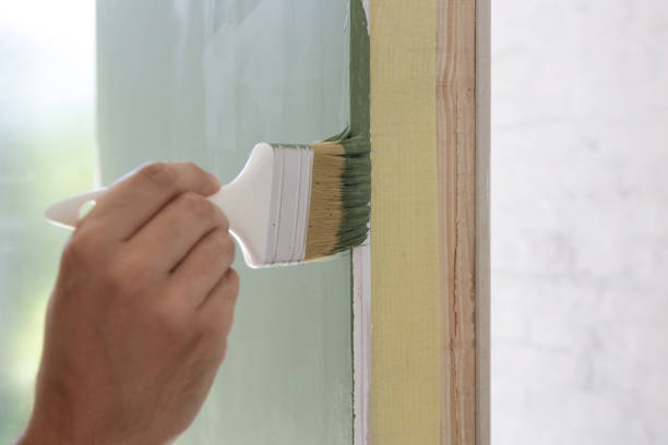 Professional Mold Removal in Tunica, MS